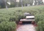 蒙自文澜公园天马路旁地下水管涌泉了