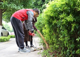 共青团蒙自市委青年志愿者在烟草小区（曦苑小区）开展了全民大清扫志愿服务活动。